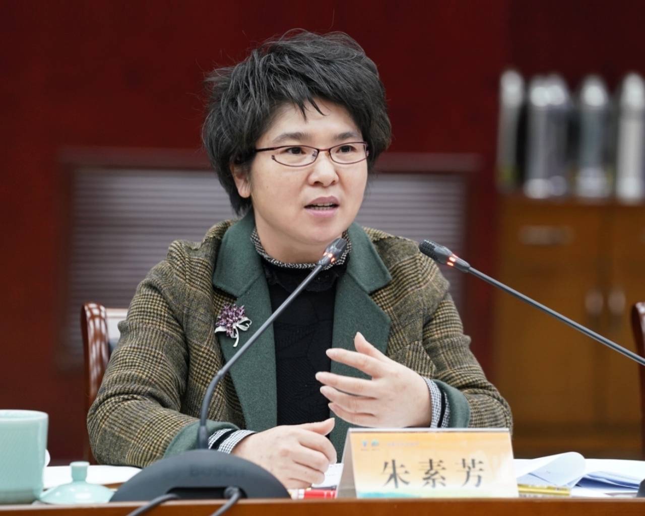 朱素芳强调凝聚政商共识提振发展信心重振工业雄风