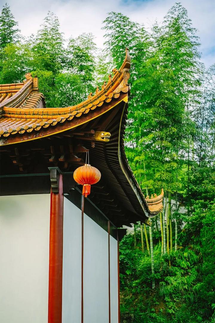 来景宁惠明寺,与自己的心灵来一场对话