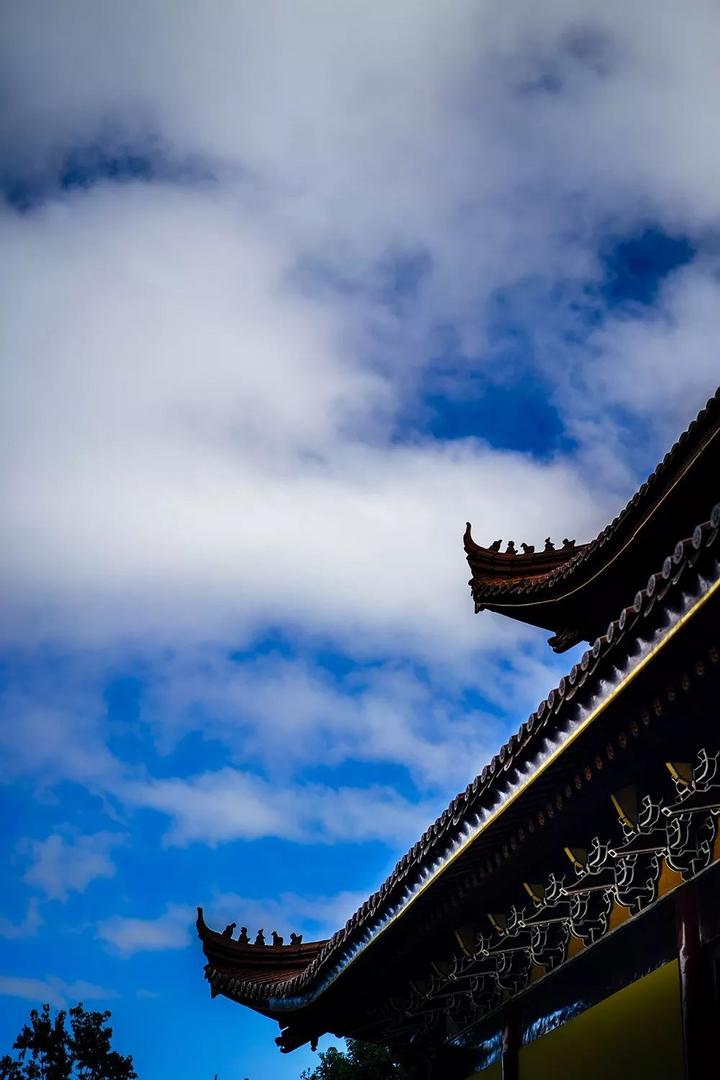 来景宁惠明寺,与自己的心灵来一场对话