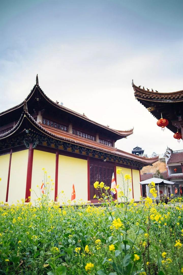 来景宁惠明寺,与自己的心灵来一场对话