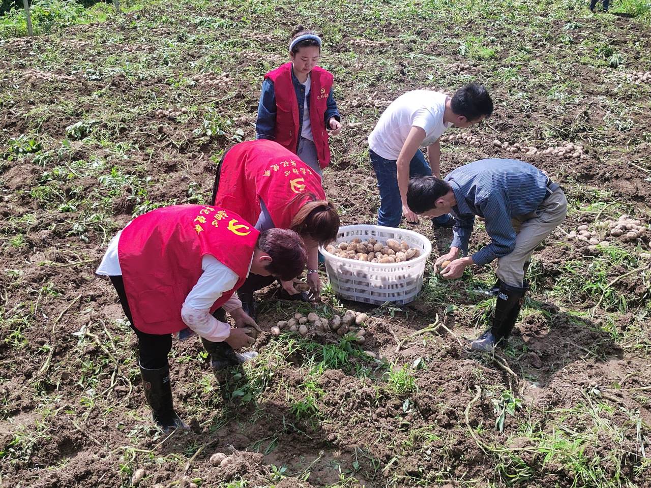 微信图片_20210526103552.jpg 微信图片_20210526103552.jpg