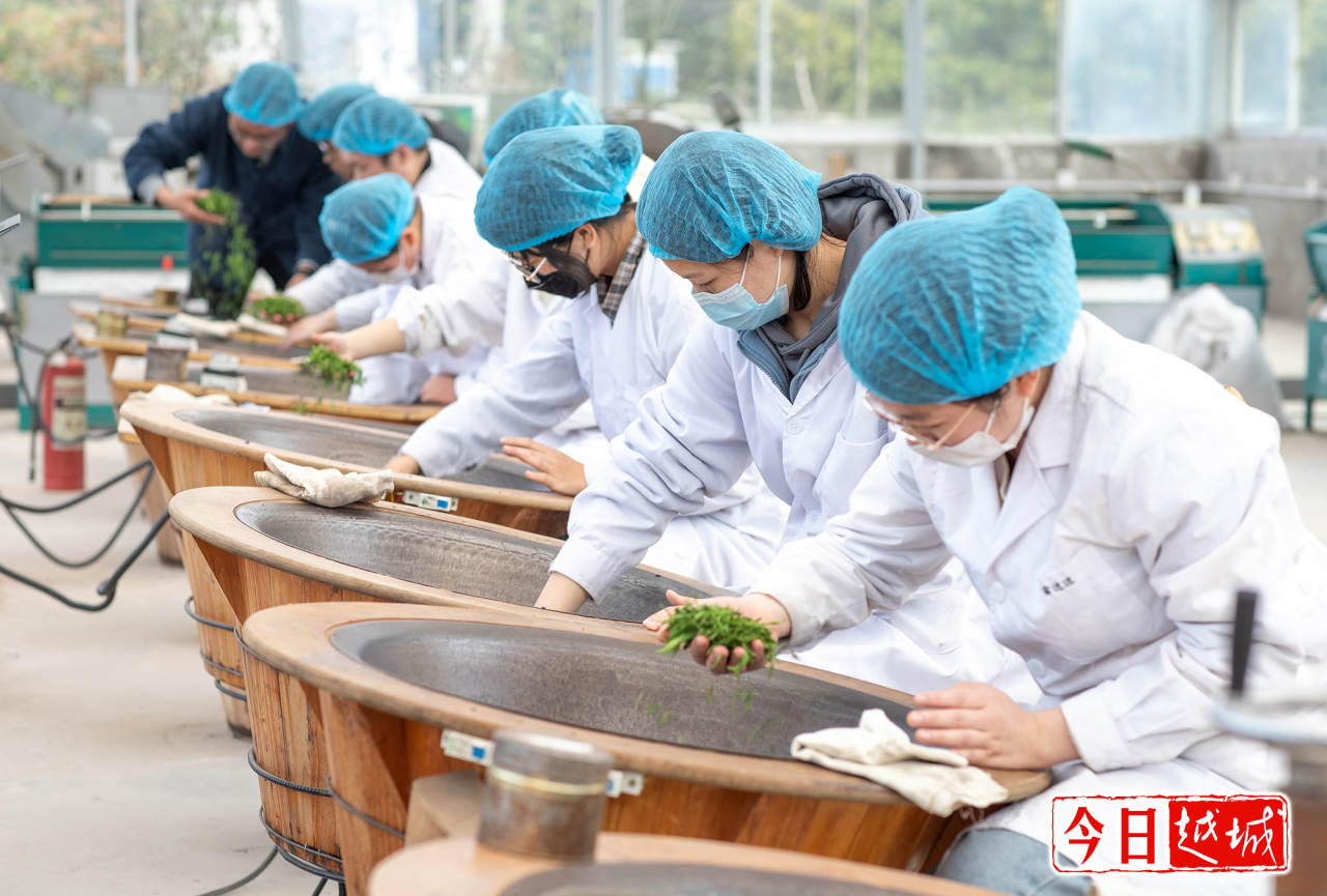 2022040216489048861886986.jpeg /mcnpic/202204/20220402/2022040216489048861886986.jpeg