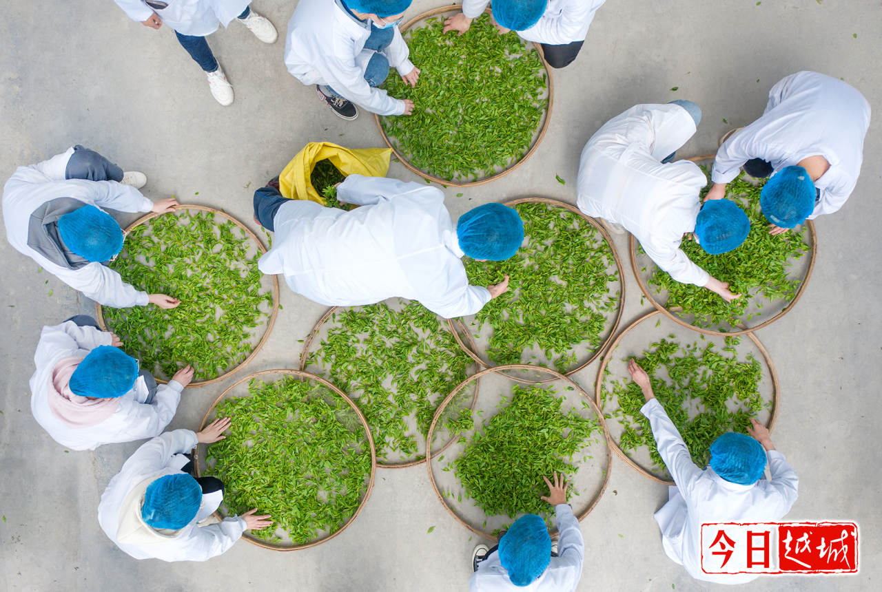 2022040216489049053638135.jpeg /mcnpic/202204/20220402/2022040216489049053638135.jpeg