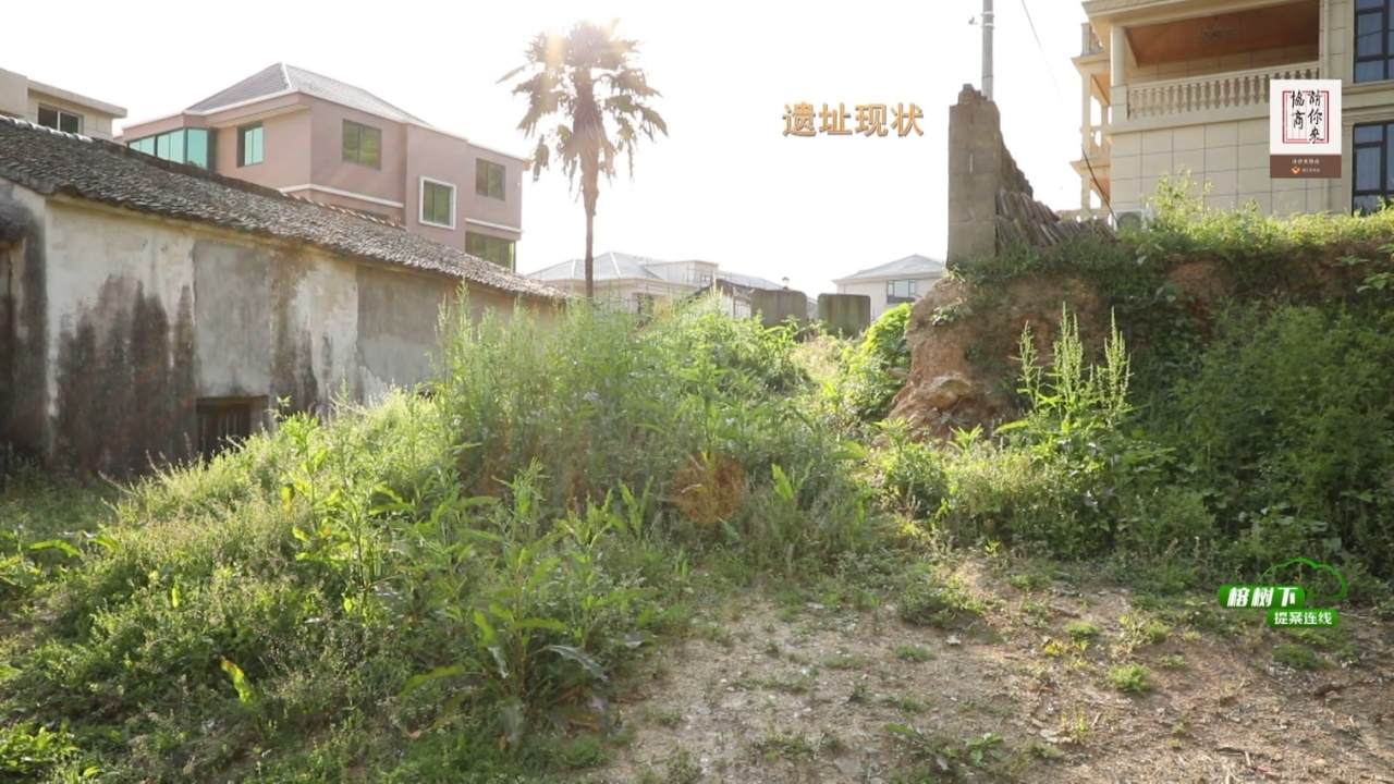 147打造瓯窑文化高地 助力乡村共同富 播出.mpg_20220425_193501.197.jpg