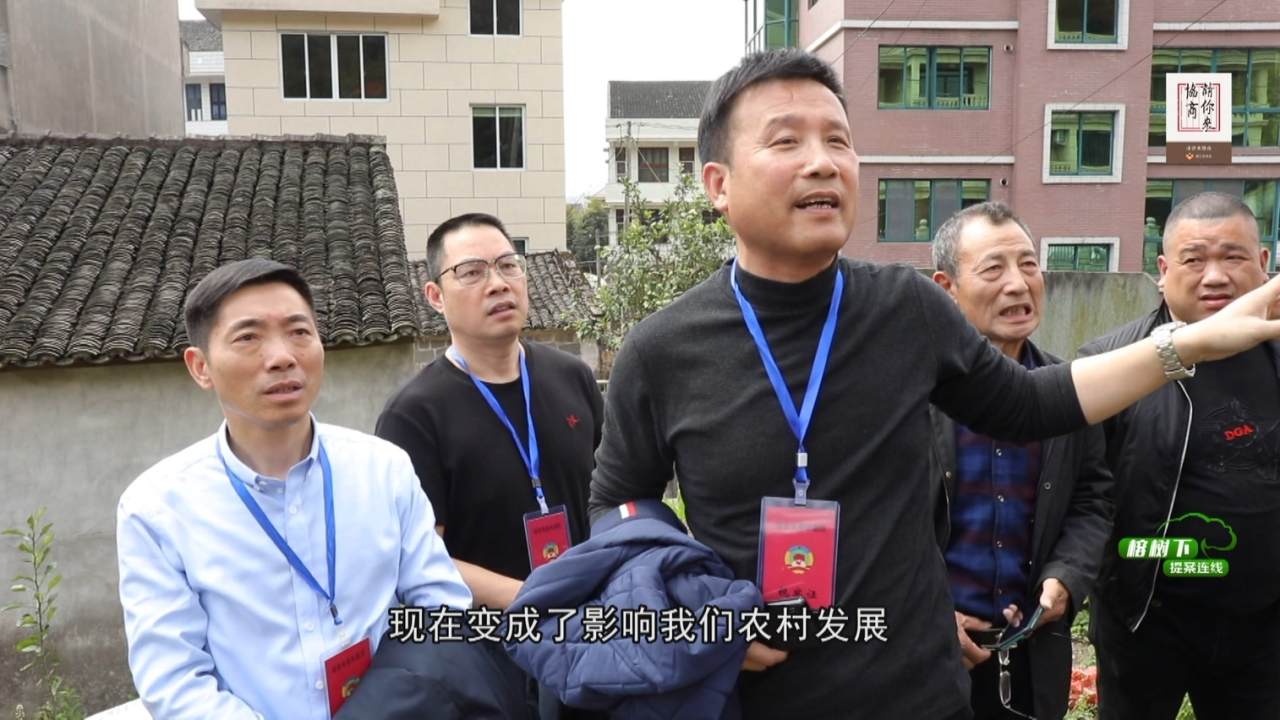147打造瓯窑文化高地 助力乡村共同富 播出.mpg_20220425_194447.621.jpg
