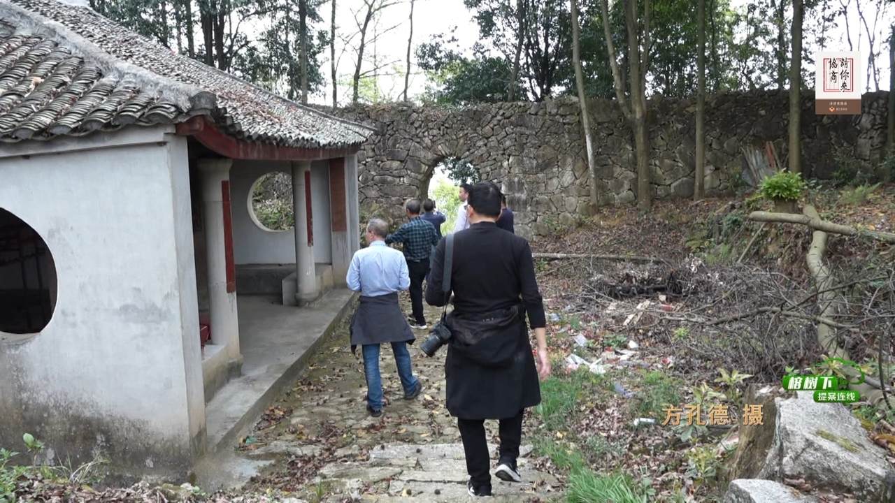 147打造瓯窑文化高地 助力乡村共同富 播出.mpg_20220425_195809.518.jpg