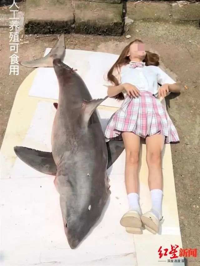 1659338515674_62e77f13b40eef3e859f439c.jpeg
