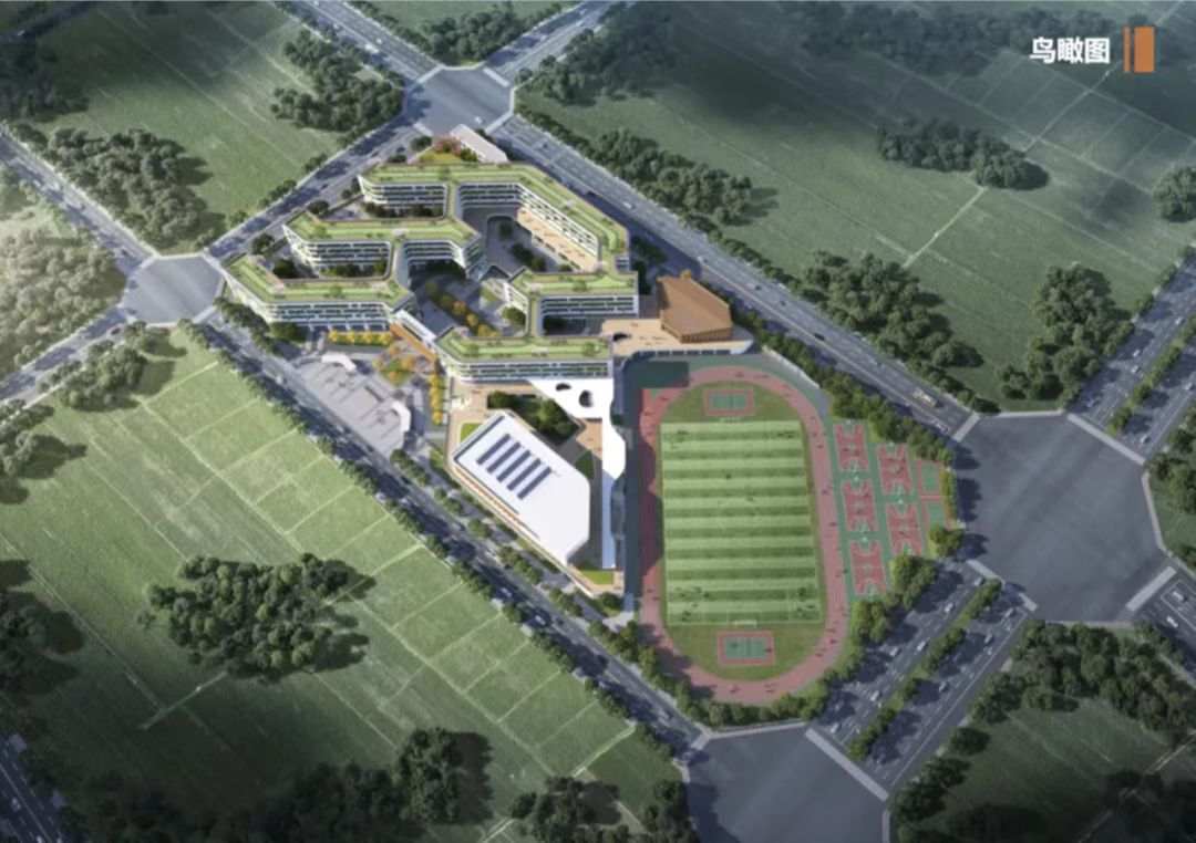 滨海实验中学鸟瞰图.jpg
