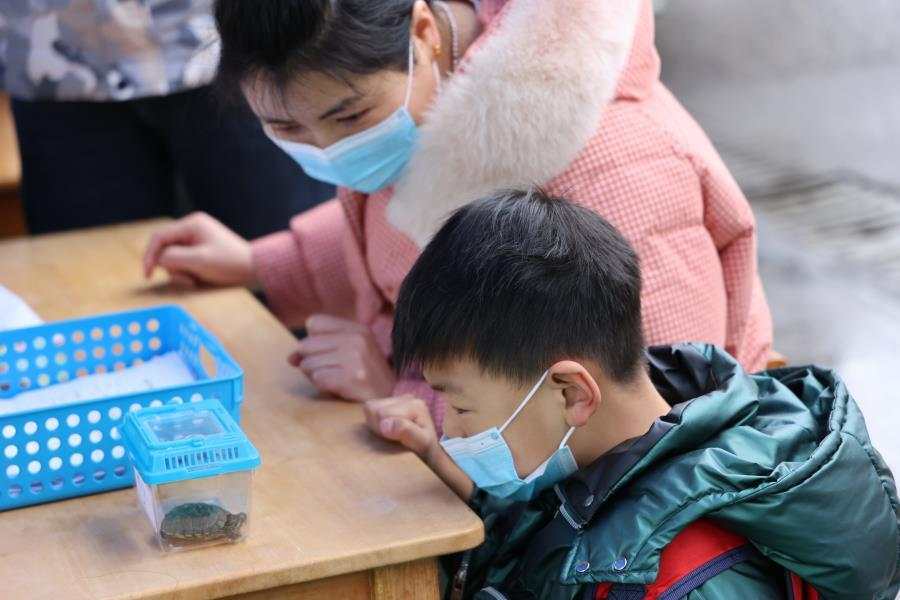 暨南街道街亭幼儿园陈霞芳1.JPG