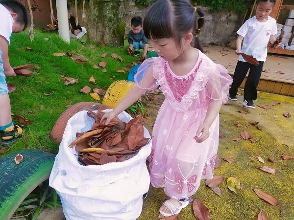 东江中心幼儿园开展捡拾树叶实践活动