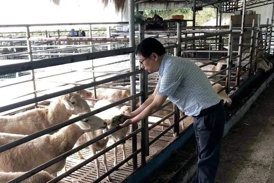 微信图片_20230828134614.jpg 微信图片_20230828134614.jpg