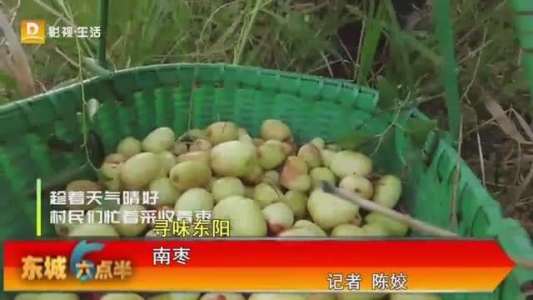 寻味东阳 南枣