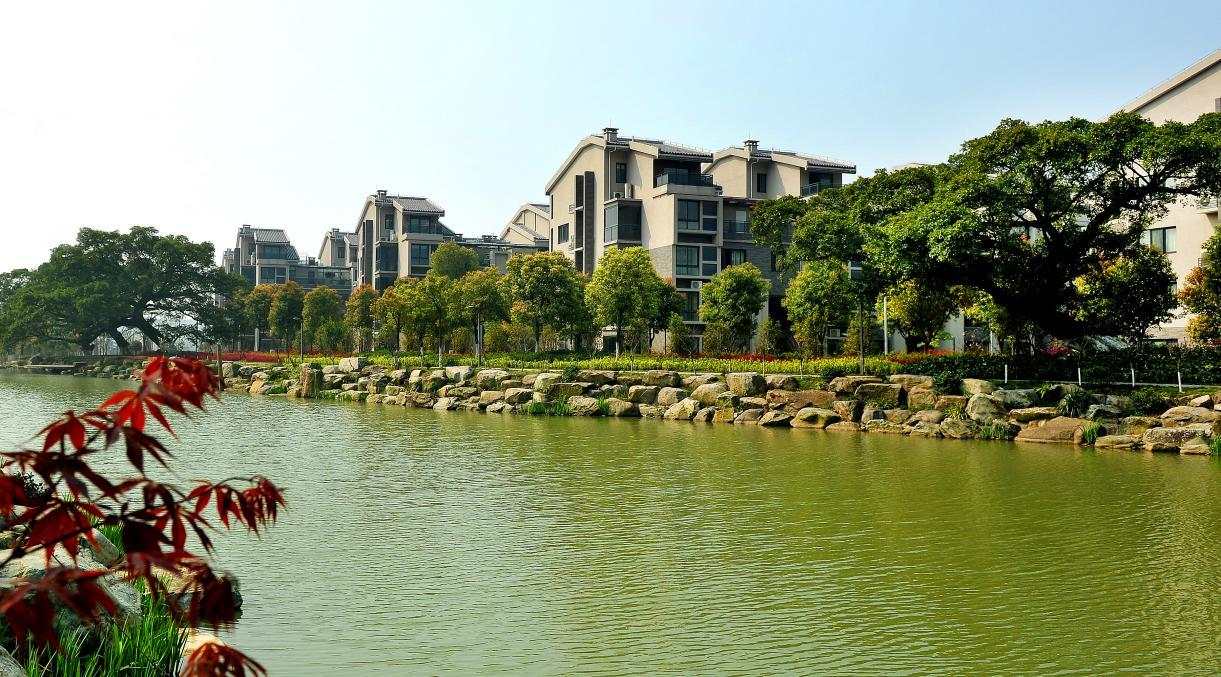 陈岙村貌.jpg 陈岙村貌.jpg