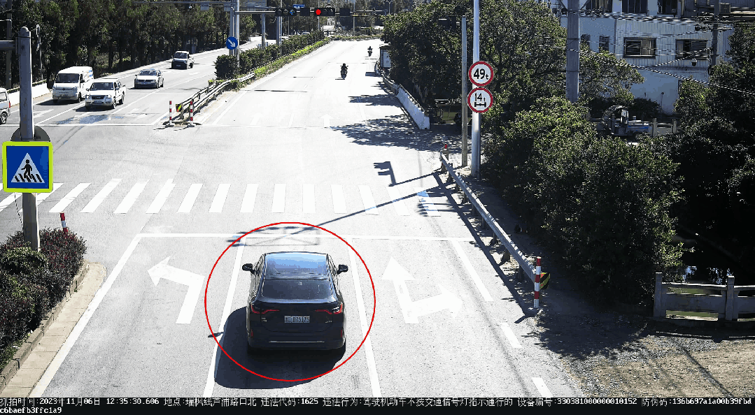 6.gif