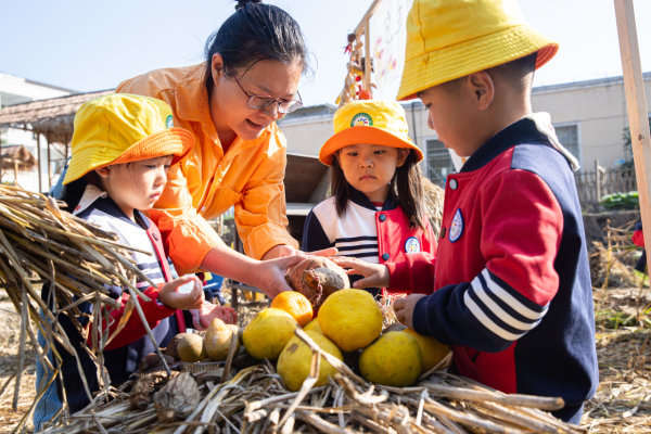 诸暨这家幼儿园，承包农田！娃娃们可以下地啦！