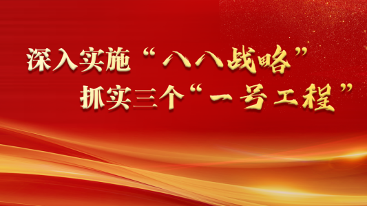 深入实施“八八战略” 抓实三个“一号工程”