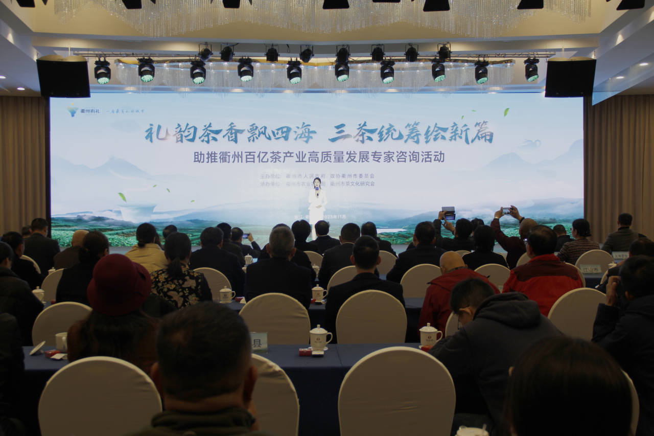 路怎么走得更好?知名专家、学者衢州“问茶”