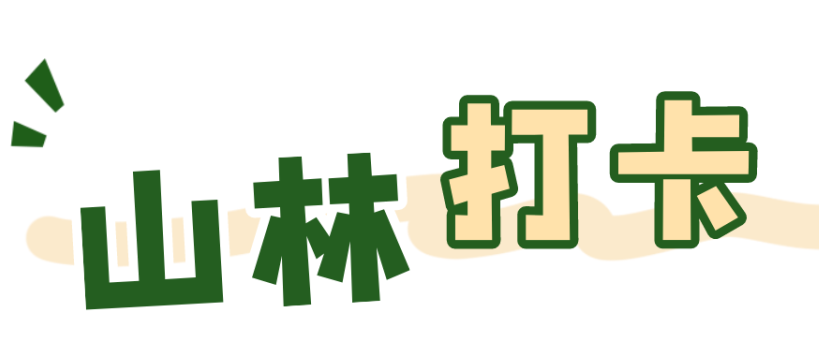 W020231114381544178350.png