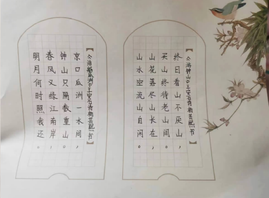 平阳县融媒体中心小记者团会员 杨芸熙.png