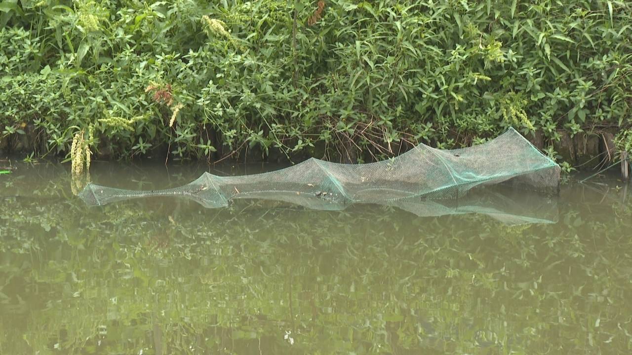 0531直击焦点:河道“绝户笼”泛滥成灾 生态环境岌岌可危20230531_123142.jpg 0531直击焦点:河道“绝户笼”泛滥成灾 生态环境岌岌可危20230531_123142.jpg