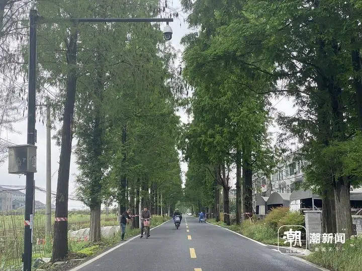 微信图片_20240423161718.jpg 图片