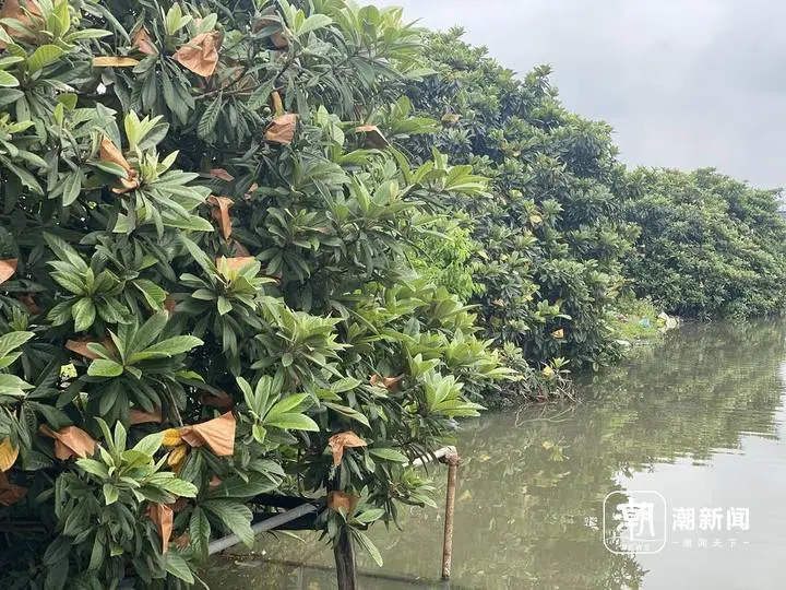微信图片_20240423161419.jpg 图片