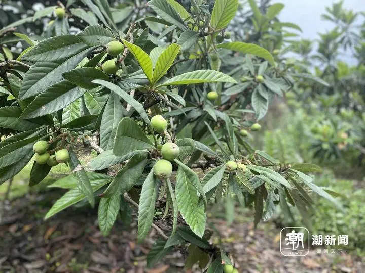 微信图片_20240423161456.jpg 图片