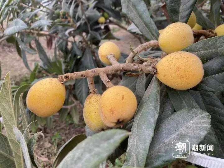 微信图片_20240423161515.jpg 图片