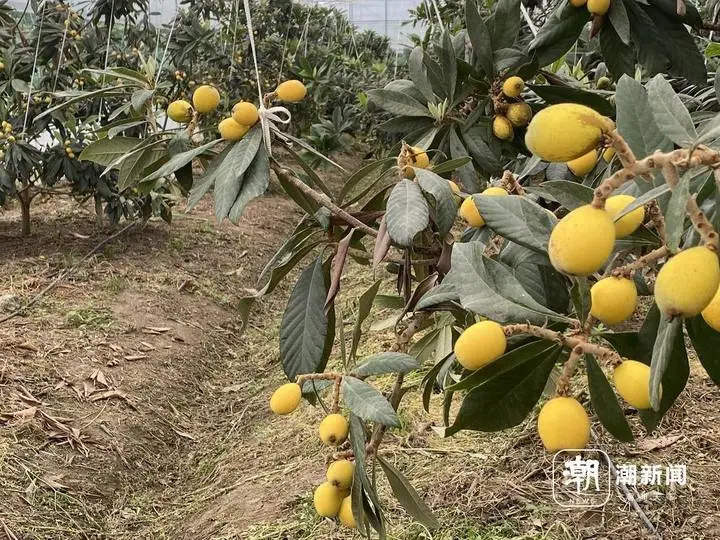 微信图片_20240423162040.jpg 图片