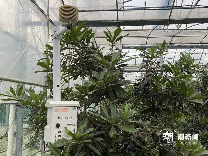 微信图片_20240423162323.jpg 图片