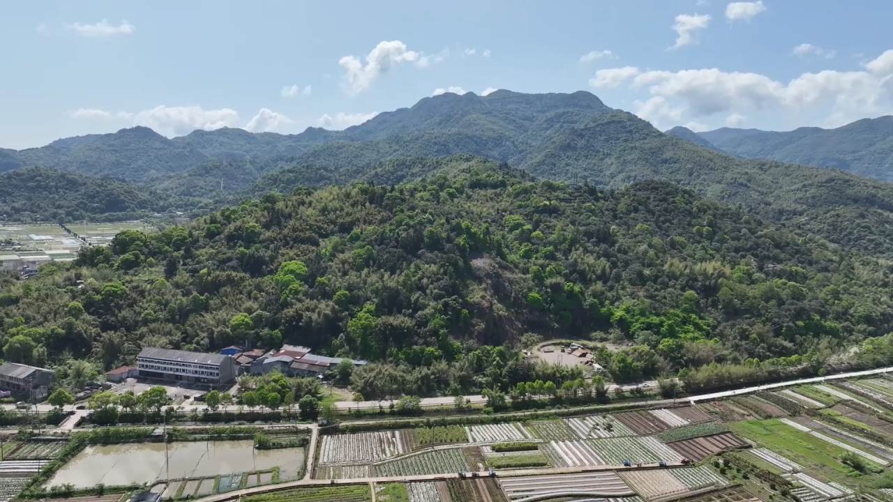 20240424《直击焦点》 瑞安本土酒何时能“抢回失地” 重回餐桌.mp4_20240425_152516.763.jpg