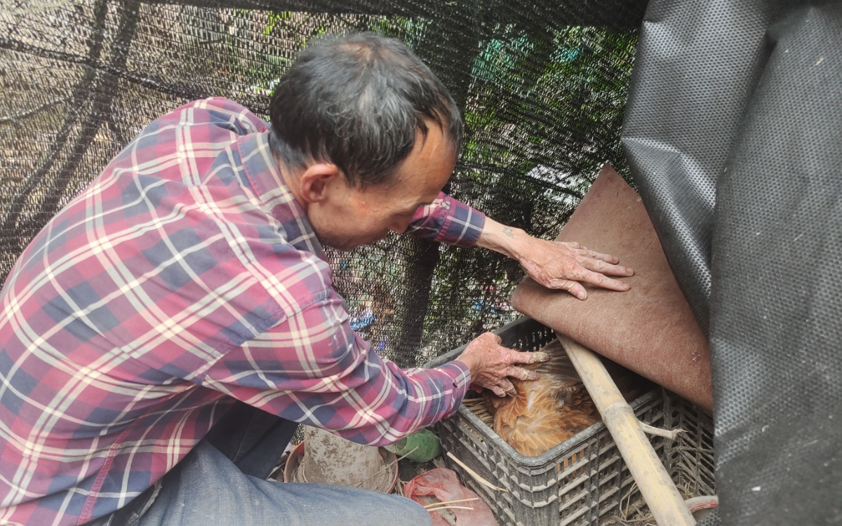 新渥街道卢海飘图片 (2).jpg