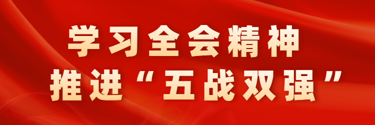 学习全会精神 推进“五战双强”